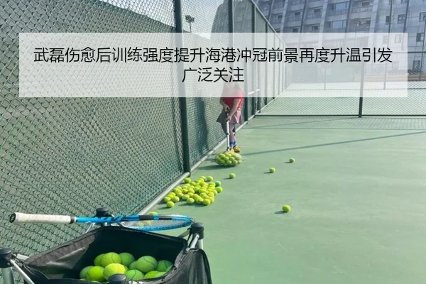 武磊伤愈后训练强度提升海港冲冠前景再度升温引发广泛关注
